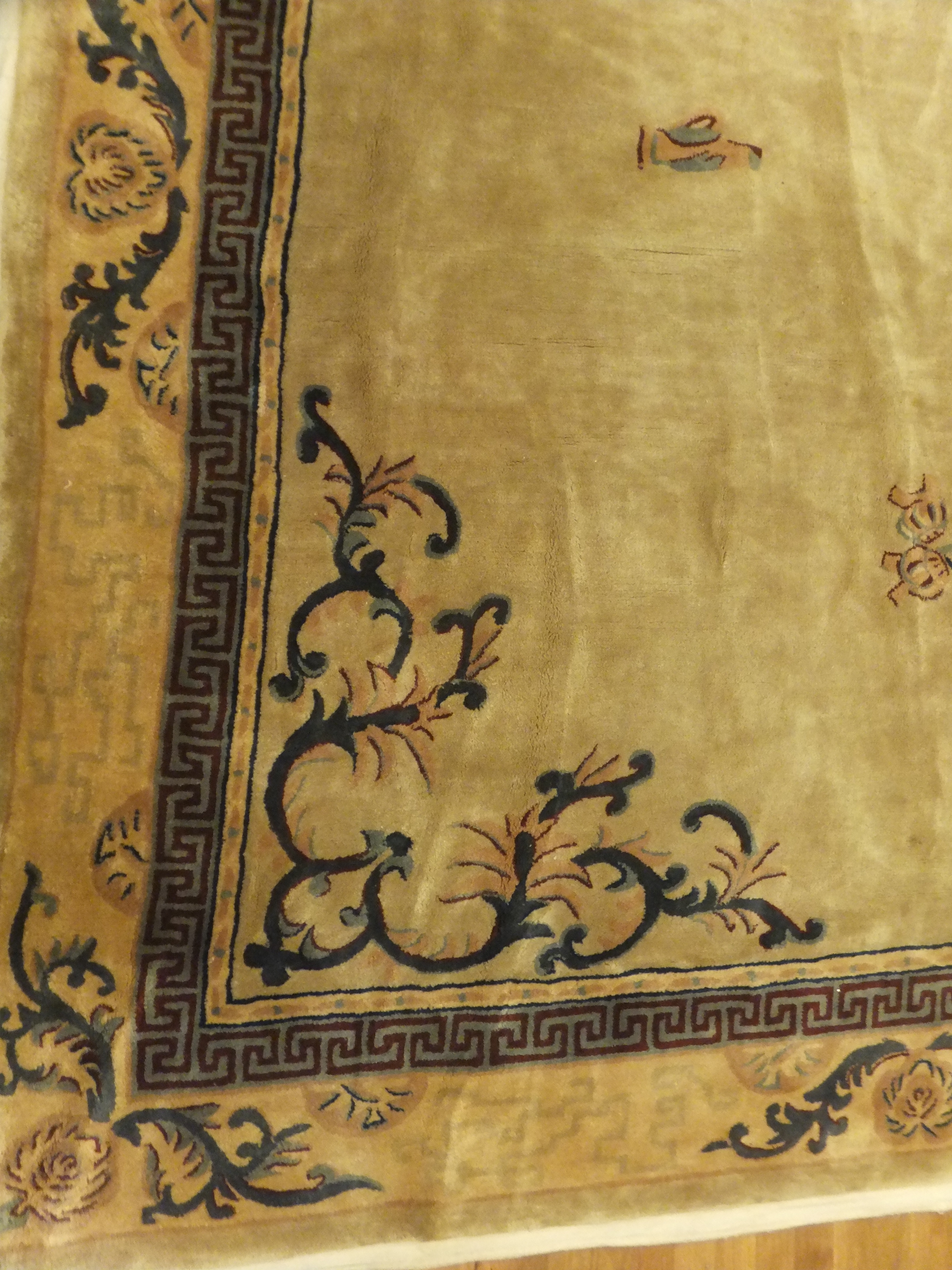 Rug image
